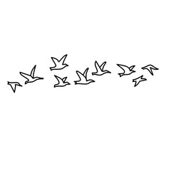 Flying birds flock line art on white background