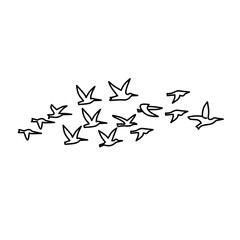 Flying birds flock on white background