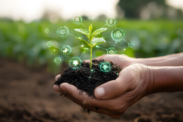 Hands Holding Sapling with Smart Agriculture Technology Icons