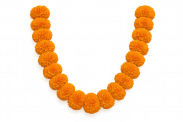 Vibrant orange marigold garland arranged in an arch shape against a transparent background, perfect for festive decorations and celebrations