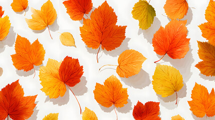 Obraz premium Autumn leaves in various shades of orange and yellow falling and scattered on a white background. Perfect for seasonal themes and designs.