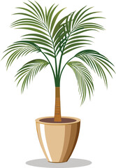 Obraz premium Areca palm in tall ceramic pot