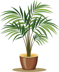 Areca palm in tall ceramic pot