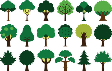 Fototapeta premium Ultimate collection of 200 detailed tree graphics