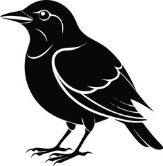 Obraz premium A stylized, solid black bird with white outlines stands facing left, detailed eye, perched on thin legs, creating a stark, graphic silhouette. 