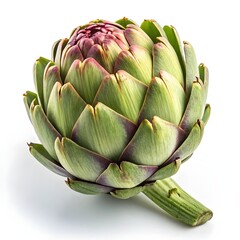 Obraz premium Catanese Artichoke Round Green Globes with Gently Curved Layered Petals in Elegant Studio Still Life on Pristine White Background