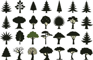 Fototapeta premium Extensive collection of detailed tree graphics for design projects