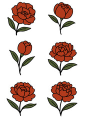 set of red roses