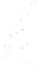 背景透過の桜の花びらイラスト。春や和風デザイン、フレーム装飾に最適なPNG、ベクトル素材。

Transparent background illustration of cherry blossom petals. Perfect PNG and vector material for spring, Japanese-style designs, and frame decorations