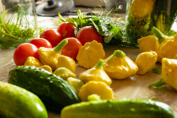 Harvesting vegetables. Cucumbers, tomatoes, squash. Harvest season.