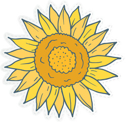sunflower vector illustration