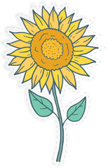  a sunflower