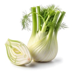 Montebianco Fennel Smooth White Bulb with Tender Green Fronds in Fresh Studio Still Life on Pristine White Background