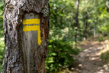 Close up on yellow markup of a hiking itinerary on a trunk in the countryside. Itineraries in France, repere excursion marking.
