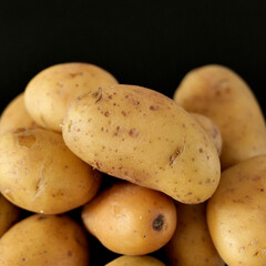 variété de patates