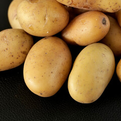 espèce de pommes de terre