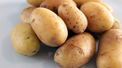 pommes de terre agricoles