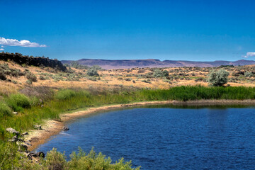 Wetlands, Columbia National Wildlife Refuge, Washington