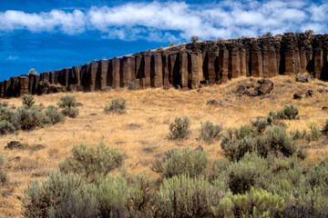 Basalt Outcrop, Lave pillars, Columbia National Wildlife Refuge, Washington
