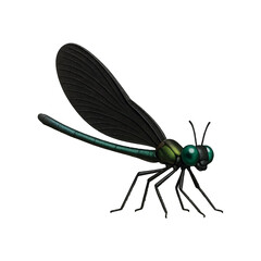 Ebony Jeweling 3D icon isolated on transparent background.01