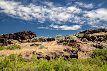 Basalt Outcrop, Lave pillars, Columbia National Wildlife Refuge, Washington
