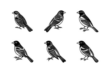 set of silhouettes of birds