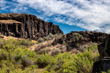 Basalt Outcrop, Lave pillars, Columbia National Wildlife Refuge, Washington