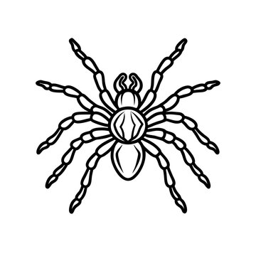 black spider outline drawing clip art preview