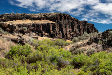 Basalt Outcrop, Lave pillars, Columbia National Wildlife Refuge, Washington