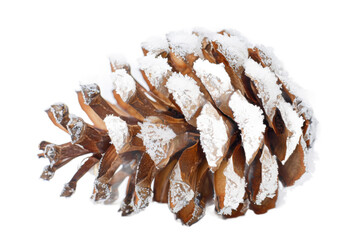 A close-up view of a snow-covered pine cone showcasing intricate details of its scales, set against a white background, ideal for seasonal decor or nature-themed projects