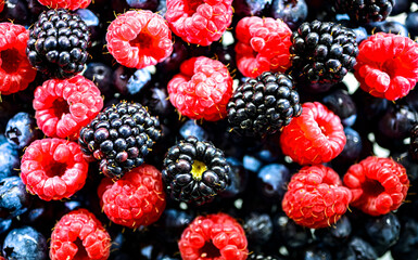 Composition with fresh ripe berries