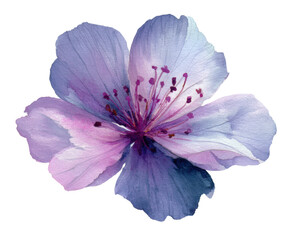 Naklejka premium Delicate purple flower illustration for nature inspired designs