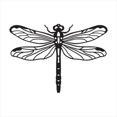 A Graceful Dragonfly in Flight, its Delicate Wings Blurring in Motion, Soaring Elegantly through the Summer Air