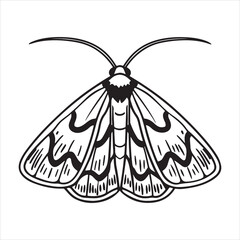 A Serene Portrait of a Moth with Camouflaged Wings, Blending Perfectly with its Natural Environment in a Peaceful Garden