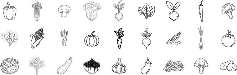 Vegetables line icon set. Vector pictograms of broccoli, potato, onion, garlic, lettuce, spinach, pepper, cucumber, pumpkin, turnip, celery, cabbage, mushroom, thin linear illustration.