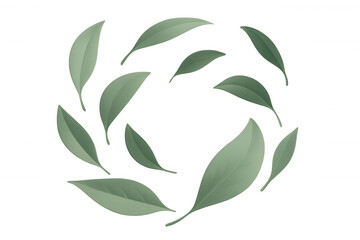 Green leaves spinning in circular motion, creating natural symmetry on clear backdrop, symbolizing organic harmony