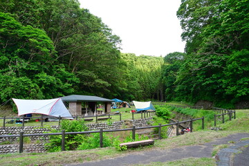 荒崎キャンプ場（新潟県）