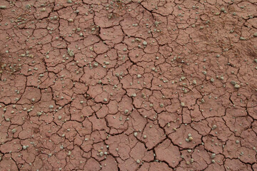 
driedsoil,
Dry farming is a type of agriculture practiced without irrigation in arid and semiarid regions. Techniques are used to cultivate the fields using rainfall.