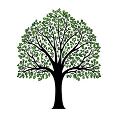 Obraz premium Lush green tree silhouette on transparent background