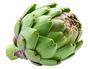 Obraz premium Fresh Green Artichoke Close-Up, isolated on transparent background PNG