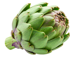 Fresh Green Artichoke Close-Up, isolated on transparent background PNG
