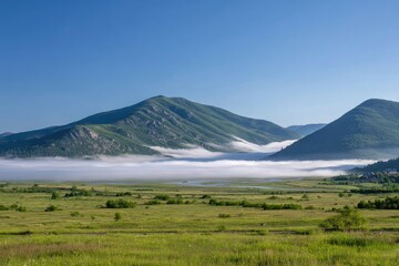 Fototapeta premium Misty valley nestled between rolling hills under a clear sky