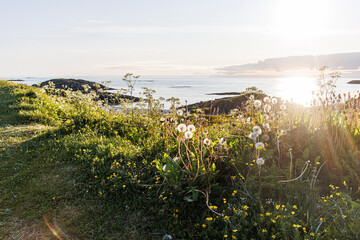 Mitternachtssonne in Nord-Norwegen