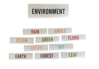 Environment Word Cloud PNG – Handmade Word Art for Eco and Green Themes