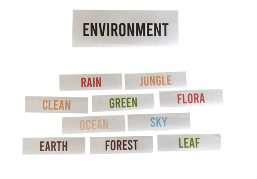 Environment Word Cloud PNG – Handmade Word Art for Eco and Green Themes