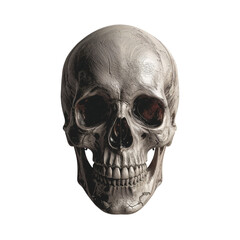Obraz premium Realistic human skull with detailed texture and bone structure isolated on transparent background
