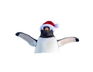  Penguin in Santa Hat Making a Snow Angel, Top-Down View with Wing Imprints, Isolated