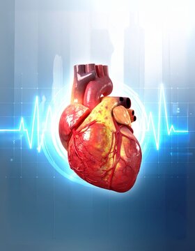 Test Profiles (1792 x 2304 px) - Cardiac Function Test - 3