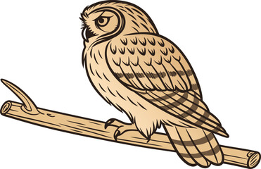 Realistic owl illustration detailed and lifelike. High quality realistic owl artwork for nature. Lifelike owl drawing with detailed feathers. Realistic owl design showing natural colors
Stunning real