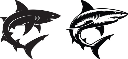 Powerful great white shark illustration in black and white